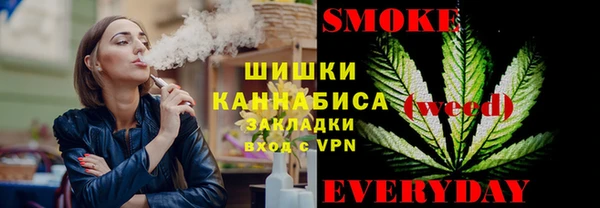 прущие грибы Балахна