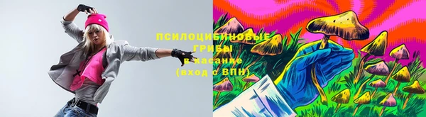 прущие грибы Балахна
