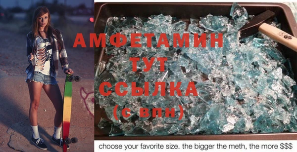 прущие грибы Балахна
