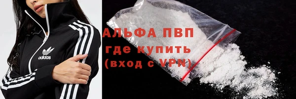 прущие грибы Балахна