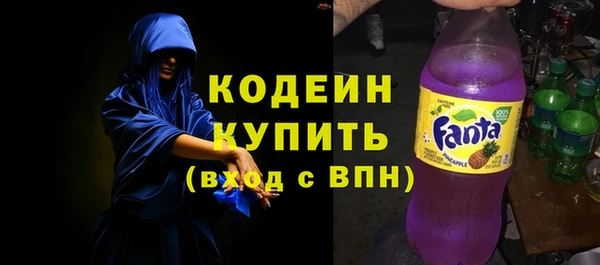 прущие грибы Балахна