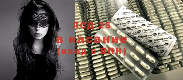прущие грибы Балахна