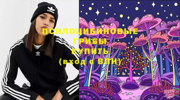 стаф Баксан