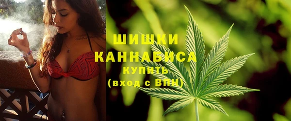 прущие грибы Балахна