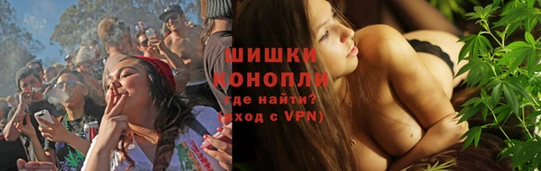 прущие грибы Балахна