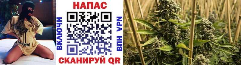 где купить наркоту  Кодинск  Конопля Ganja 